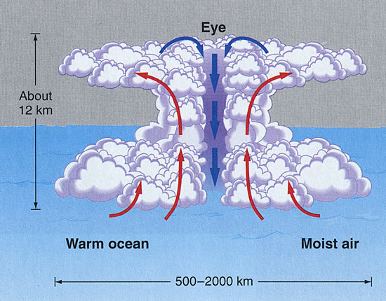 drawing eye anatomy Cross Institution Hole Woods Oceanographic Section : Hurricane