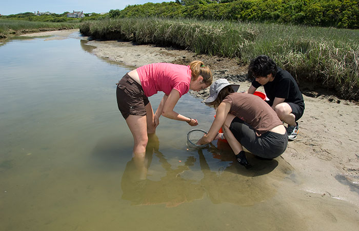 A Summer of Science by the Sea