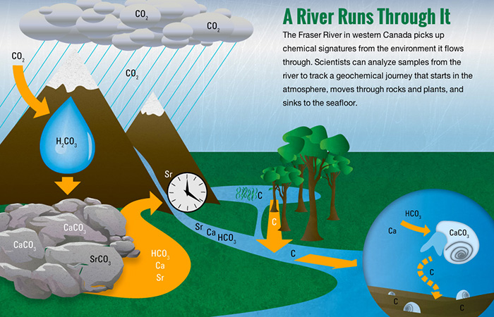 CARBON CYCLE :: MAR 2014