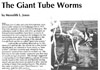 giant tubeworms