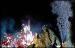 Deep Ocean Exploration Institute