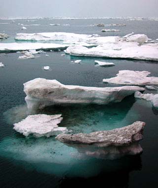 ice shelves