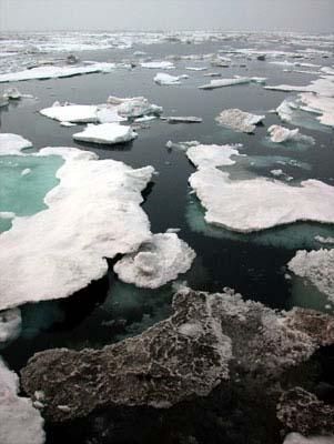 gray day, gray ice.