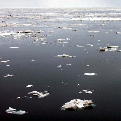 steel-gray Arctic waters