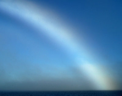 Fogbow