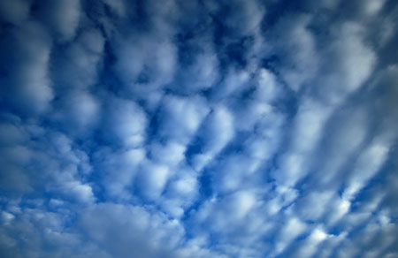 Cumulus clouds