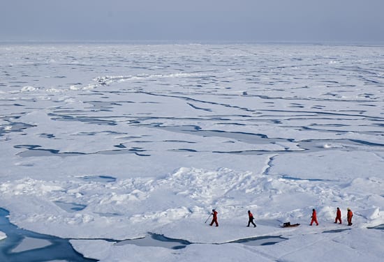 International Polar Day