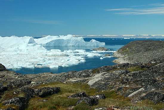 Where icebergs roam free