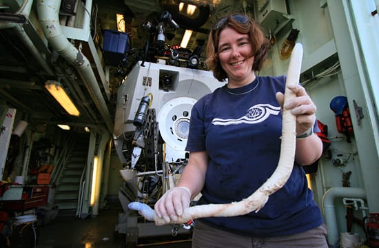 Giant worm from the deep sea