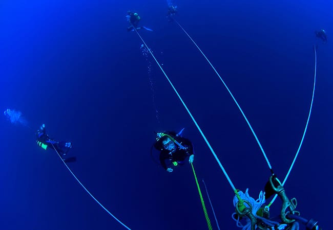 Blue-water divers