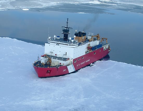 Charting a polar ocean ecosystem