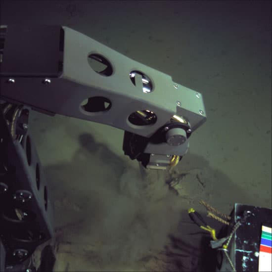 Nereus at Challenger Deep