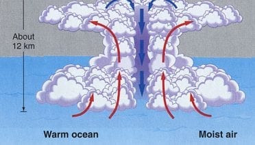 coi_hurricanes_primer_en1_213033.jpeg