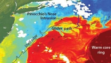 Gulf Stream Ring Water Intrudes onto Continental Shelf Like "Pinocchio's Nose"