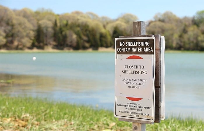 Setting a Watchman for Harmful Algal Blooms
