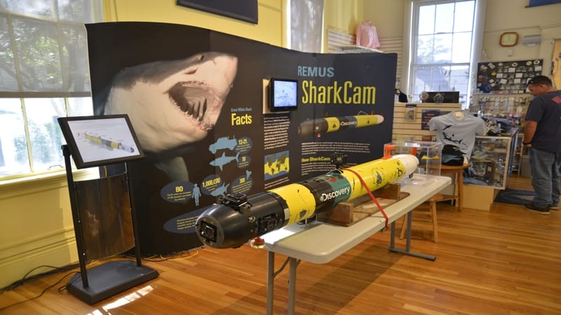 REMUS SharkCam Display