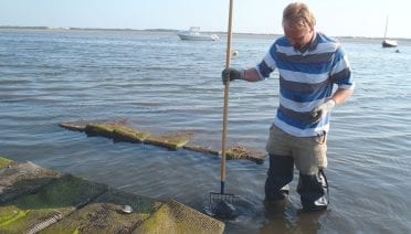 Study Provides Measurement of Nitrogen Removal by Local Shellfish