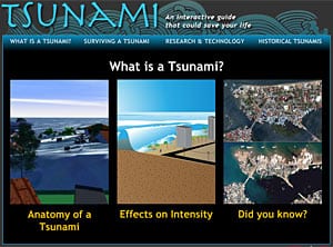 Interactive Tsunami Guide