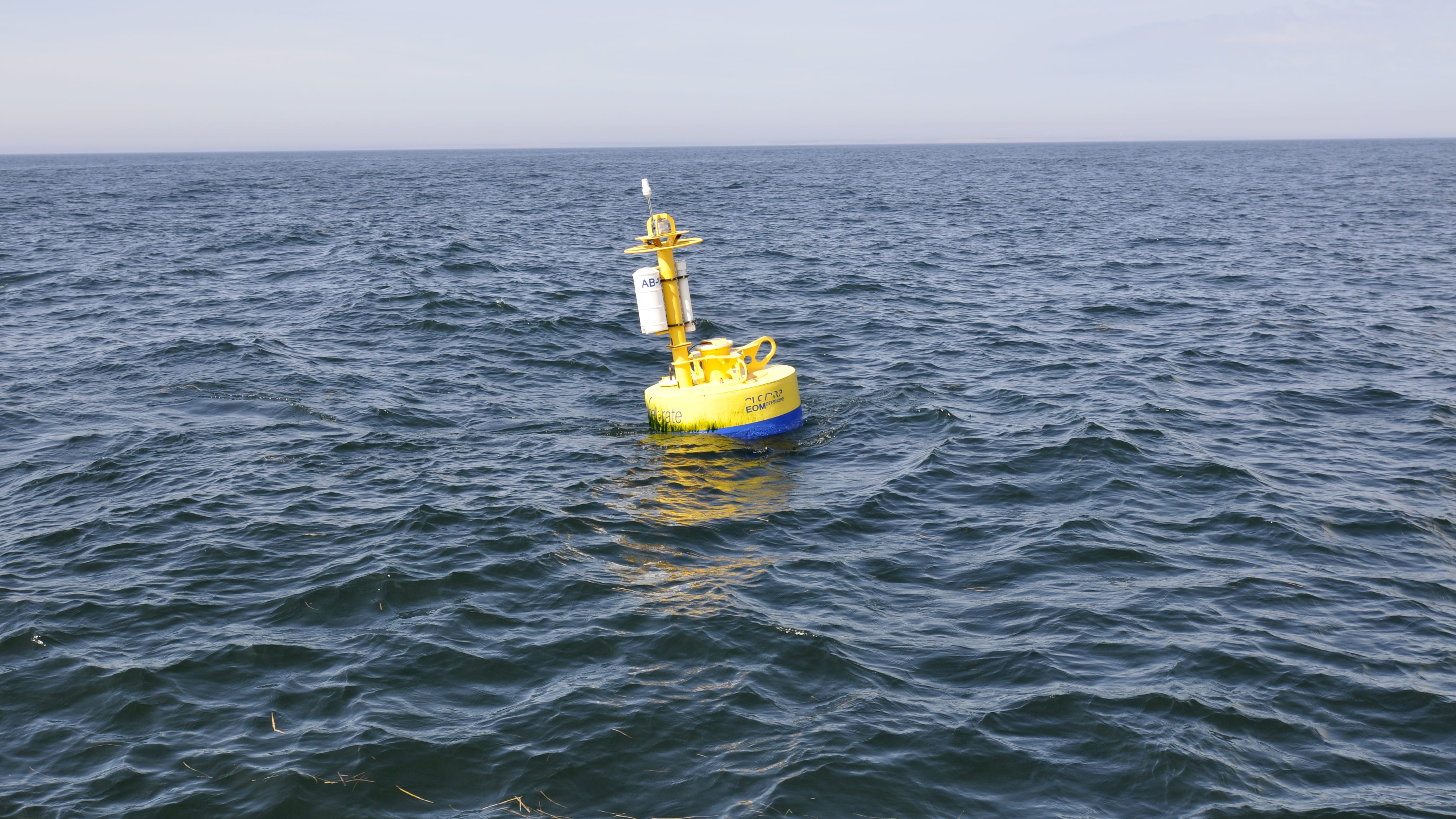 whale detection buoy on surface