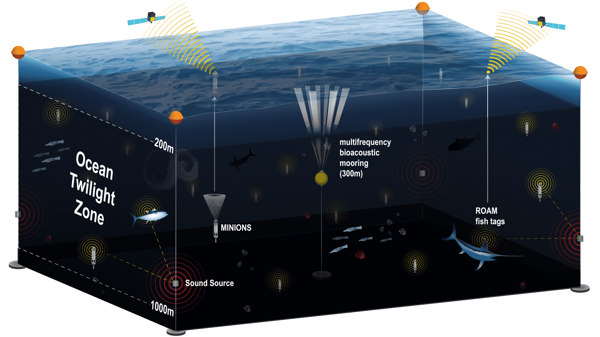New Observation Network Will Provide Unprecedented Long Term View Of Life In The Ocean Twilight 3310