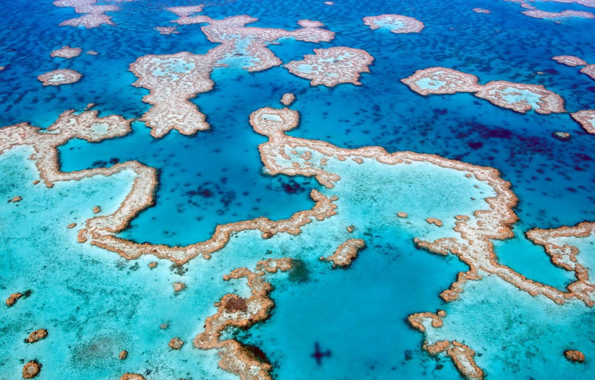 Reef Ecosystems - Woods Hole Oceanographic Institution