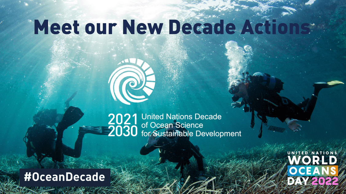 2022 Highlights: A Landmark Year for OST – Ocean Science Trust