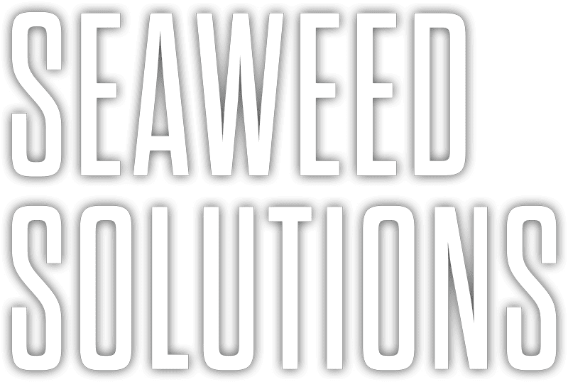 Seaweed Solutions