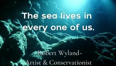 Robert Wyland Quote