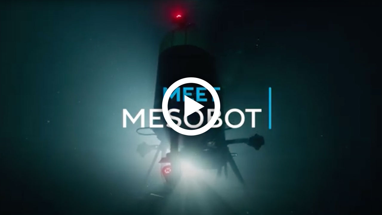 meet mesobot