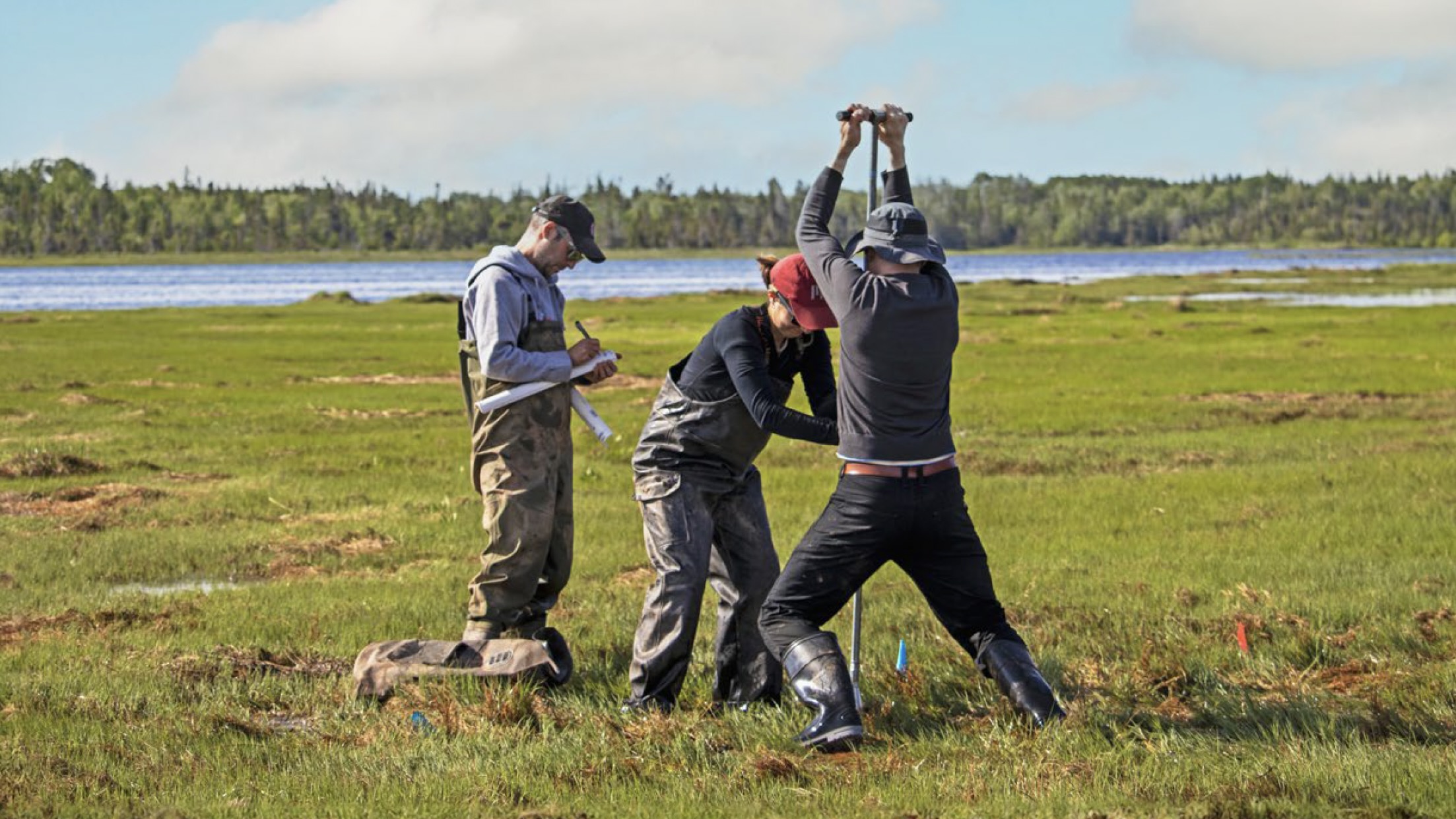 Coring a Salt Marsh